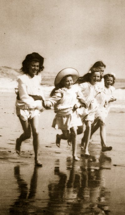 Ricci di mare da English Photographer